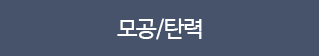 모공/탄력