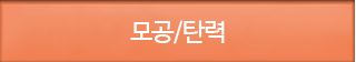 모공/탄력