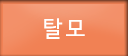 탈모